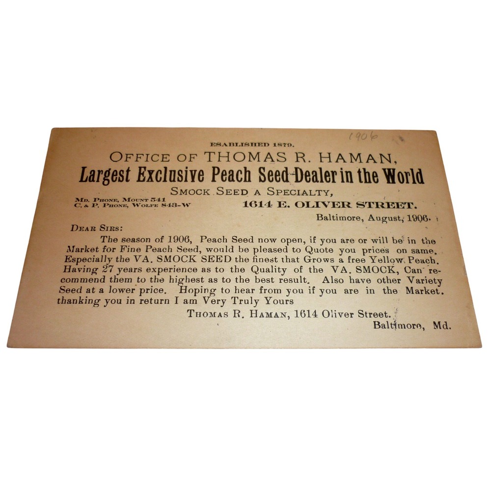 1906 Thomas R Haman Baltimore Peach Seed Dealer Advertising Postal Card Ephemera
